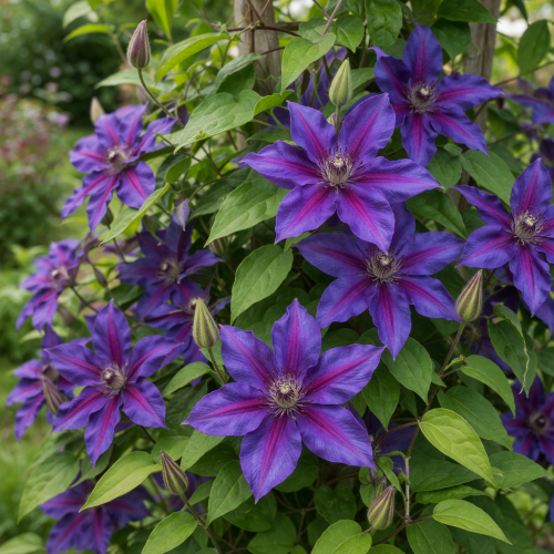 ChatGPT Image 27 mar 2026 o 15_43_51.png