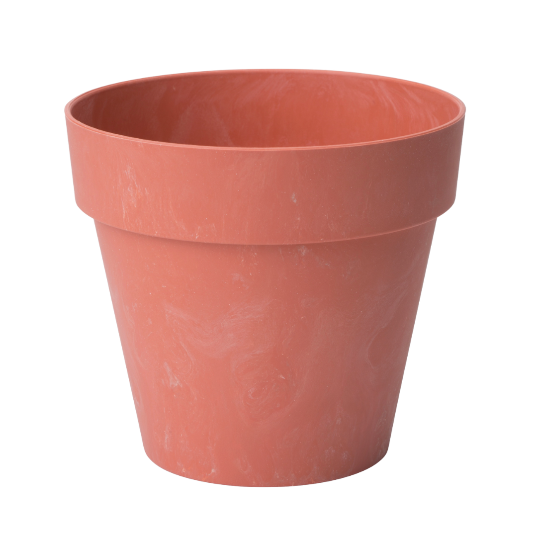 DONICZKI-35.png