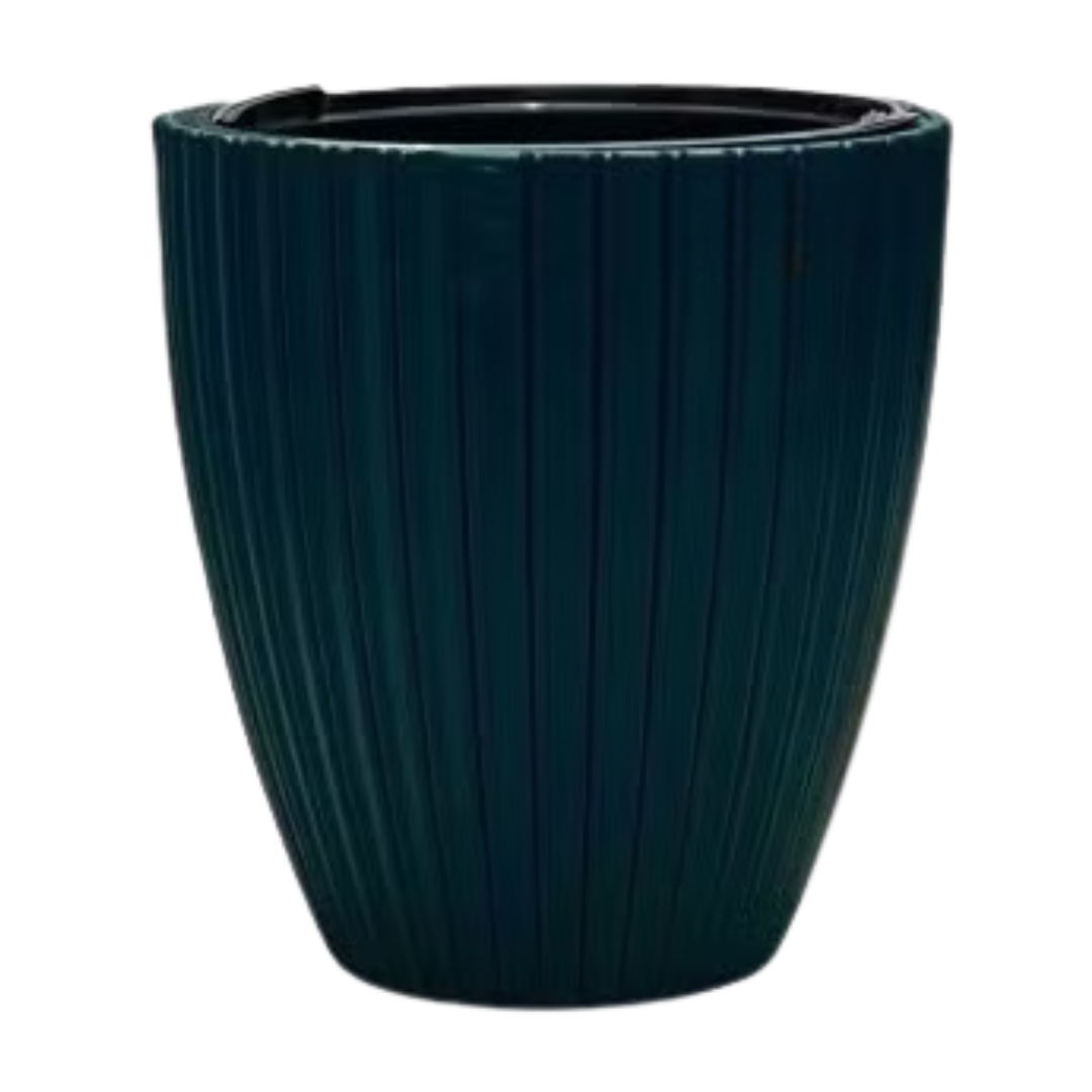 DONICZKI-56.png