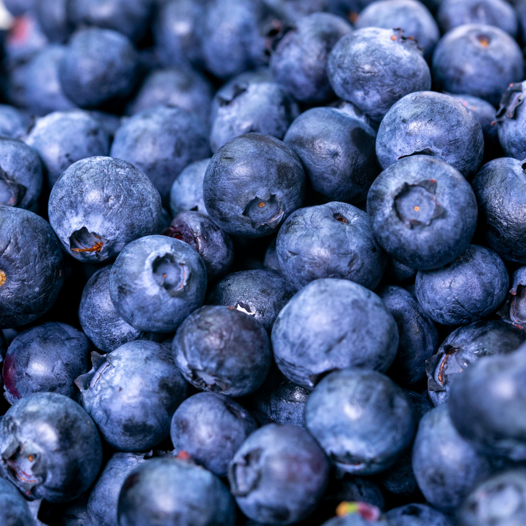 Borówka amerykańska Patriot.png